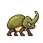 A green rhino beetle
