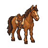 A saddled horse
