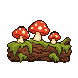 Mushrooms growing on a log